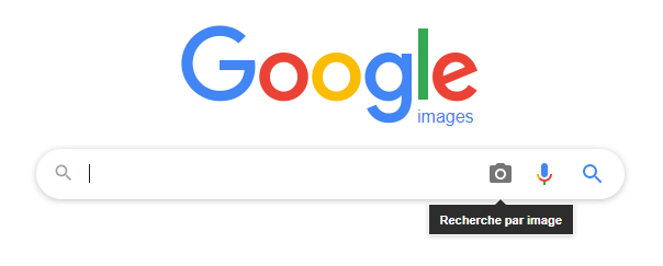 Plagiat en ligne : google image