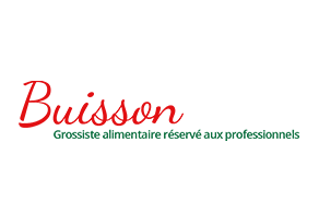 Logo Buisson-SA - Némésis studio