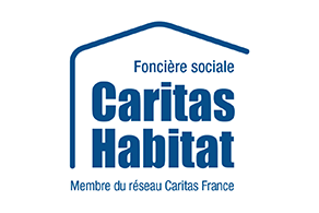 Logo Caritas Habitat - Némésis studio