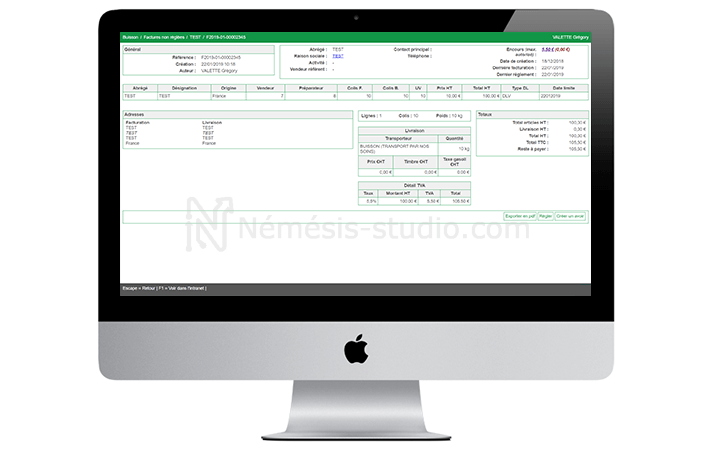Interface de facturation du logiciel de Buisson - Némésis studio