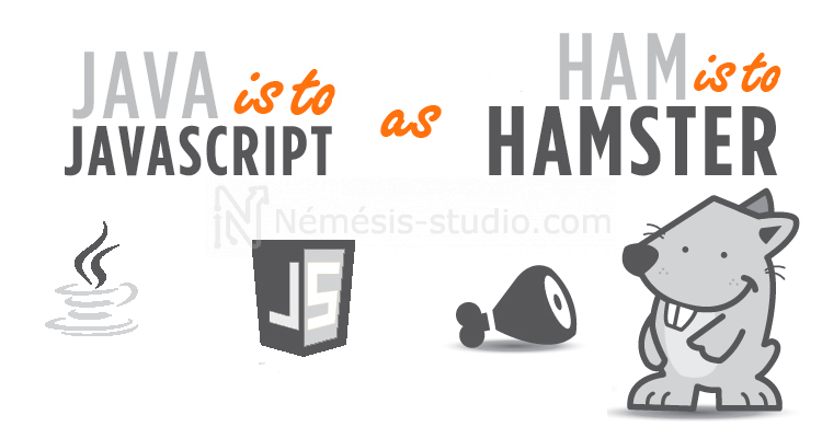 Java is to Javascript as ham is to hamster