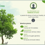 Némésis studio a planté 60 arbres grâce à vous !