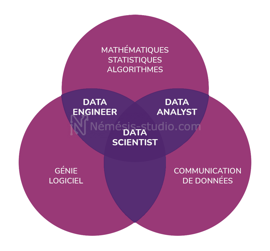 Data Engineer - Data Analyst - Data Scienist - Néméis studio